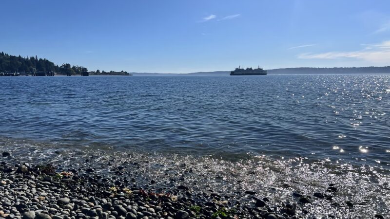Beach Trail - Seattle, WA