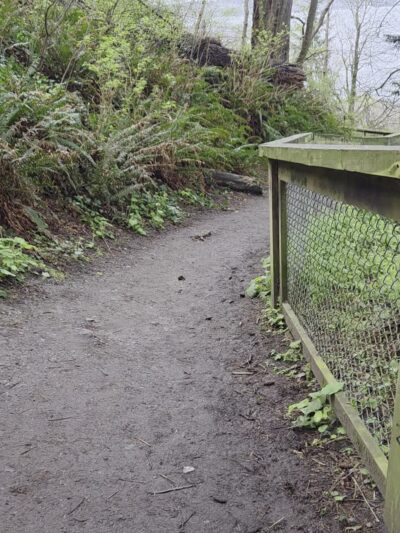 Beach Trail - Seattle, WA
