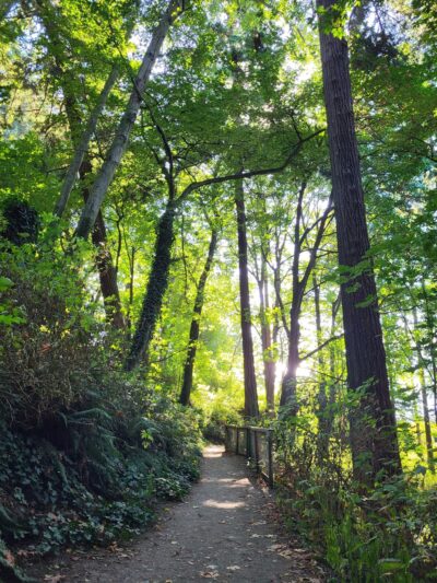 Beach Trail - Seattle, WA