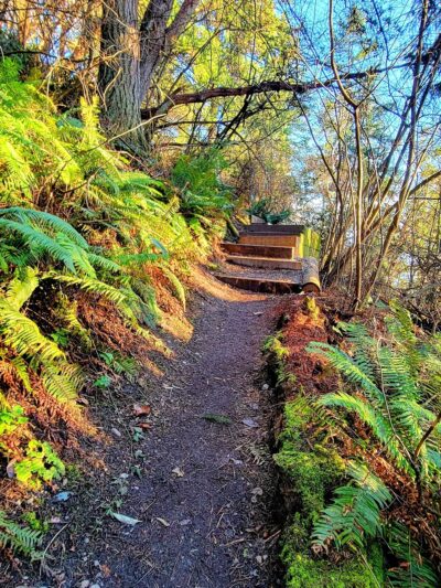 Beach Trail - Seattle, WA