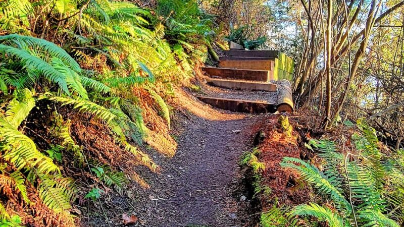 Beach Trail - Seattle, WA
