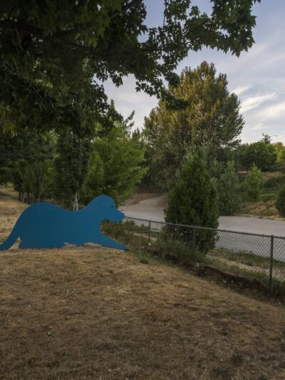 Blue Dog Pond - Seattle, WA