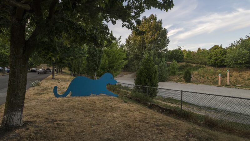 Blue Dog Pond - Seattle, WA