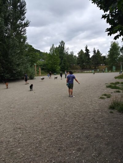 Blue Dog Pond - Seattle, WA