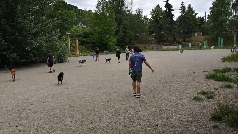 Blue Dog Pond - Seattle, WA