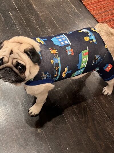 BoneYard Dog Daycare & Boarding - Seattle, WA