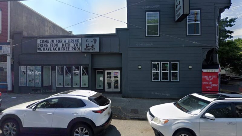 BoneYard Dog Daycare & Boarding - Seattle, WA