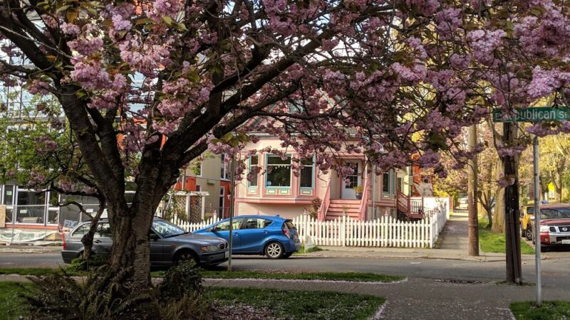 Broadway Hill Park - Seattle, WA