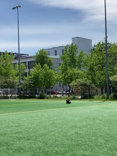 Cal Anderson Park - Seattle, WA