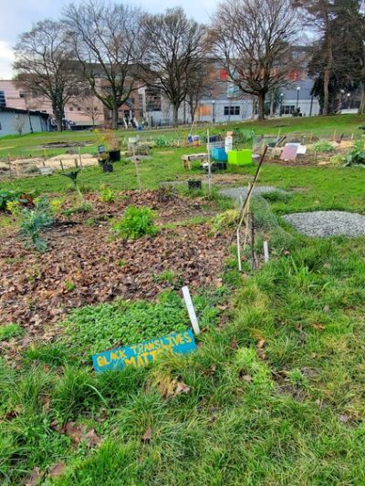 Cal Anderson Park Shelterhouse - Seattle, WA