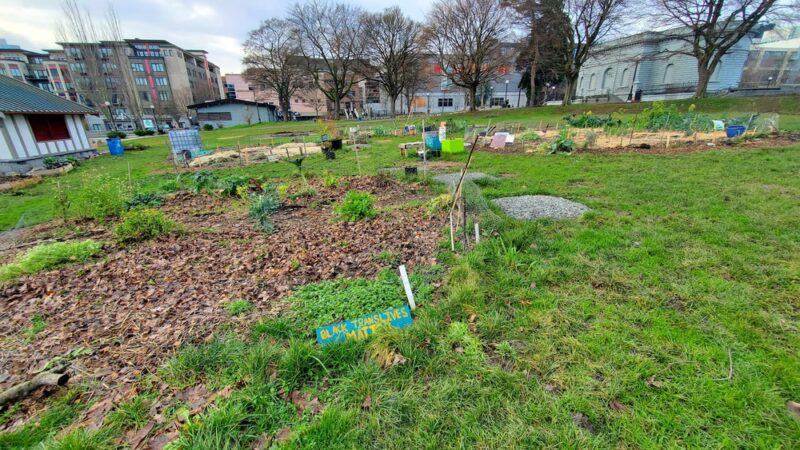 Cal Anderson Park Shelterhouse - Seattle, WA