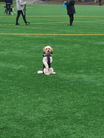 Cal Anderson Park Shelterhouse - Seattle, WA