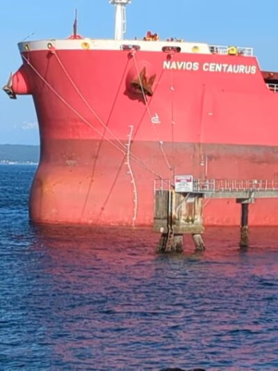 Centennial Park - Seattle, WA