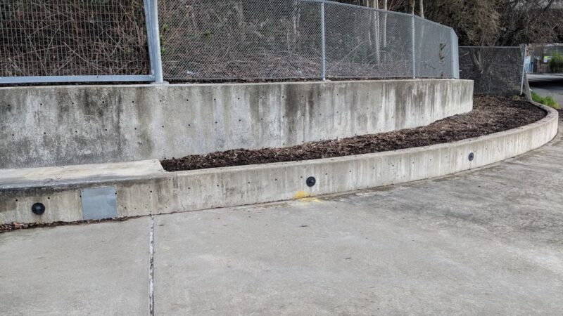 Cesar Chavez Park - Seattle, WA