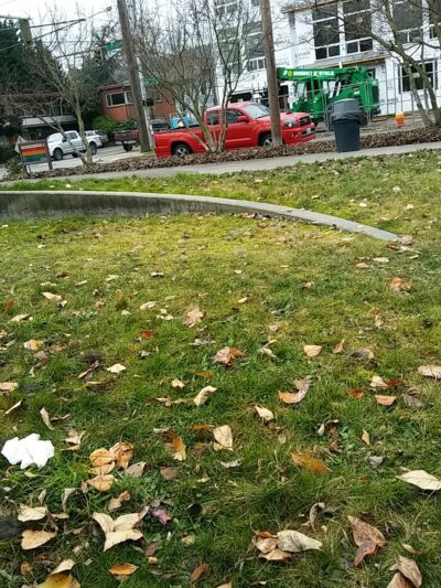 Cesar Chavez Park - Seattle, WA