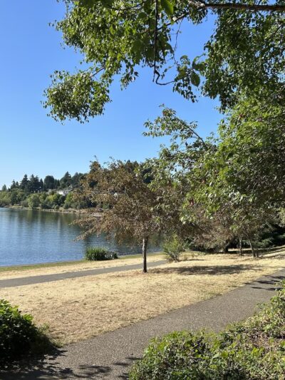 Colman Park - Seattle, WA