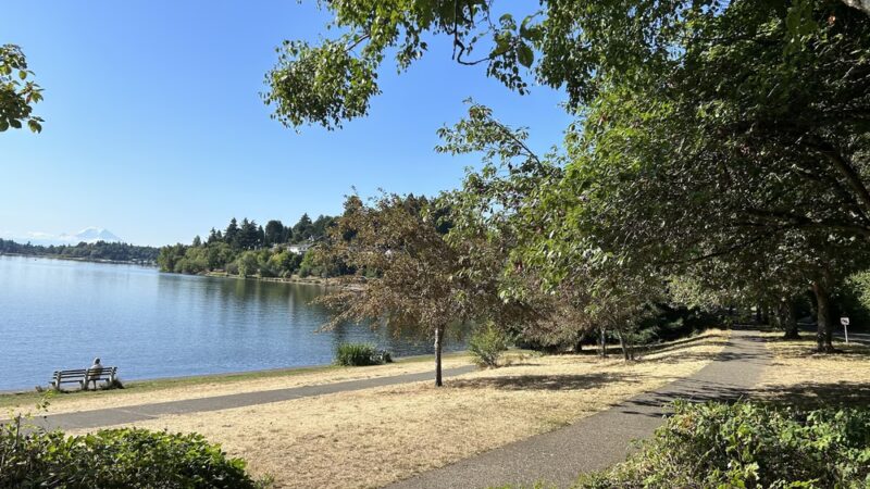Colman Park - Seattle, WA