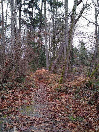 Colman Park - Seattle, WA