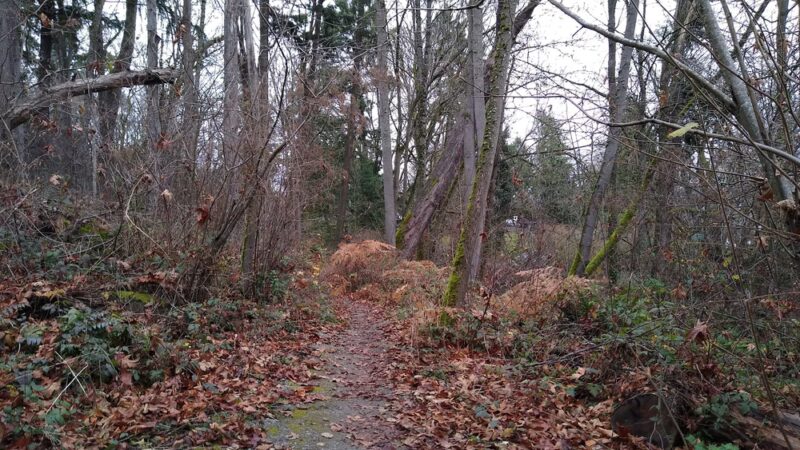 Colman Park - Seattle, WA