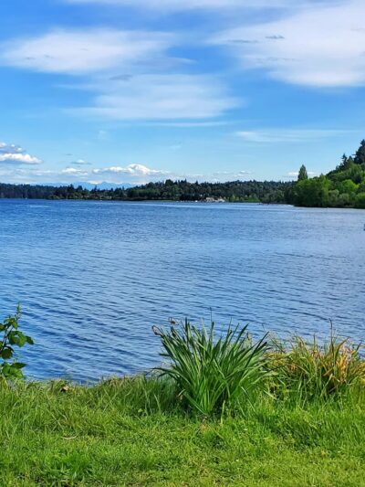 Colman Park - Seattle, WA