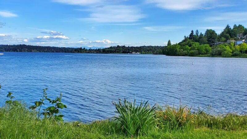 Colman Park - Seattle, WA