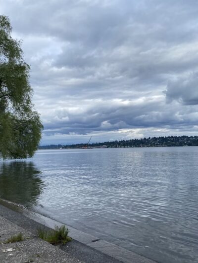 Colman Park - Seattle, WA