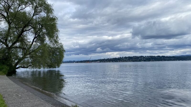 Colman Park - Seattle, WA