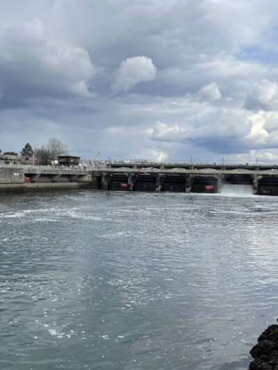 Commodore Park - Seattle, WA