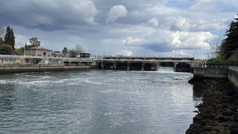 Commodore Park - Seattle, WA