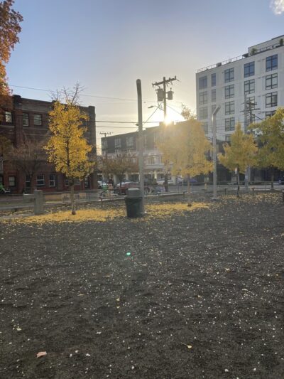 Counterbalance Park - Seattle, WA