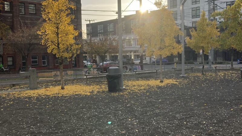 Counterbalance Park - Seattle, WA