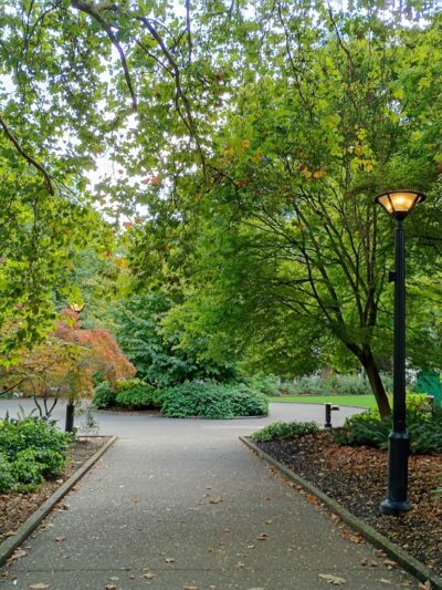 Denny Park - Seattle, WA