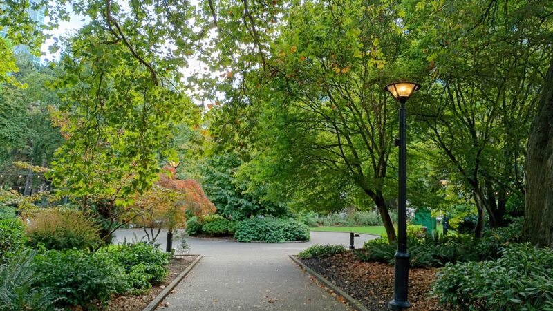 Denny Park - Seattle, WA