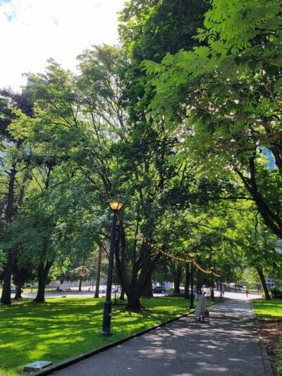 Denny Park - Seattle, WA