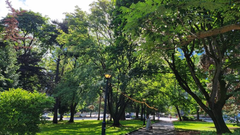 Denny Park - Seattle, WA