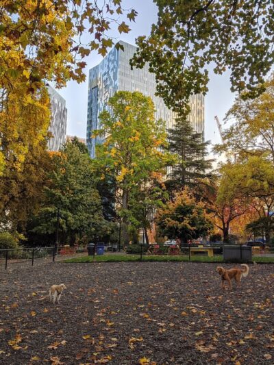 Denny Park - Seattle, WA