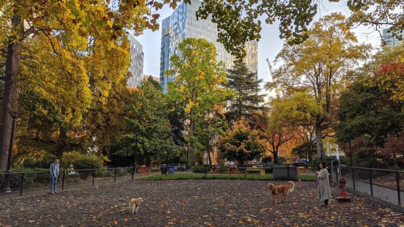 Denny Park - Seattle, WA