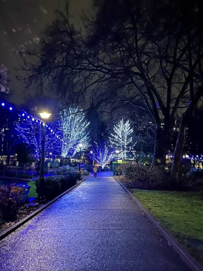 Denny Park - Seattle, WA