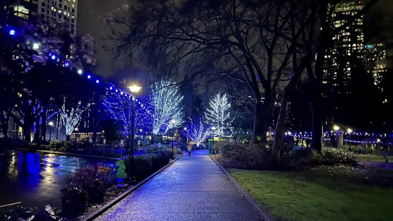 Denny Park - Seattle, WA