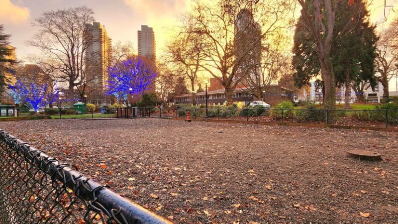 Denny Park Dog Park - Seattle, WA