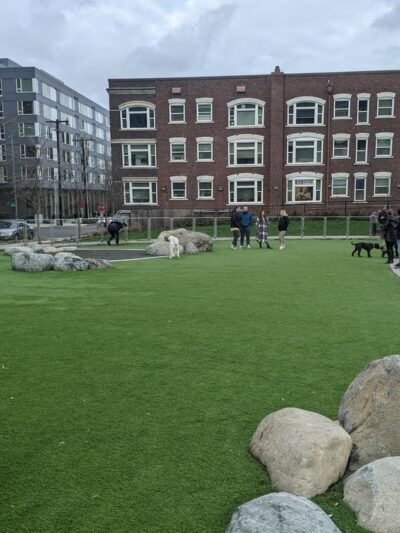 Denny Substation Dog Park - Seattle, WA