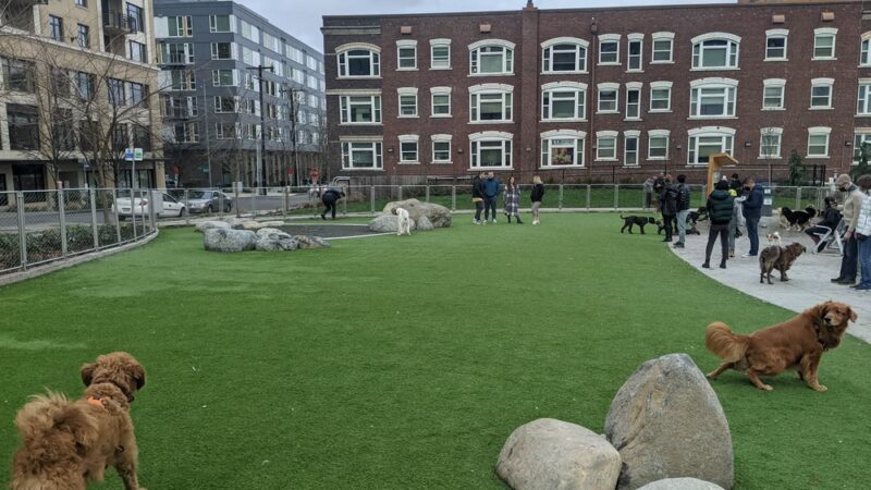 Denny Substation Dog Park - Seattle, WA