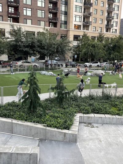 Denny Substation Dog Park - Seattle, WA