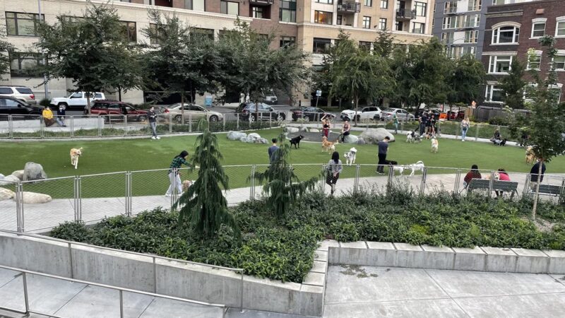 Denny Substation Dog Park - Seattle, WA