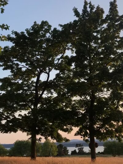 Discovery Park - Seattle, WA