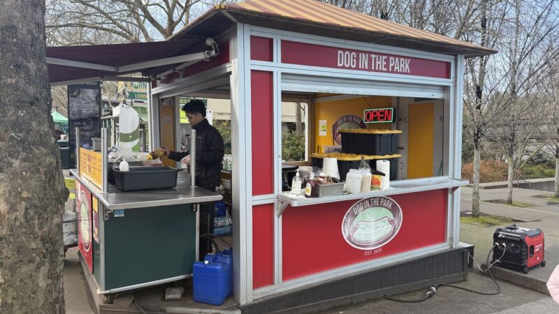 Dog In the Park - Seattle, WA