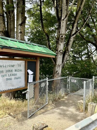 Dog Off Leash Area - Seattle, WA