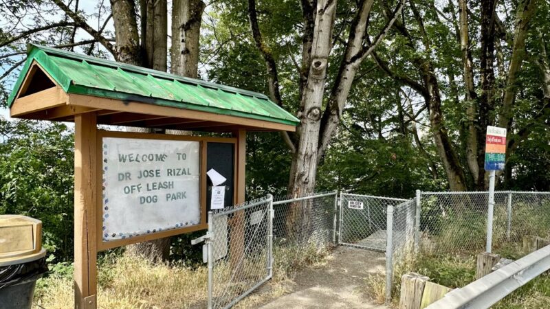 Dog Off Leash Area - Seattle, WA