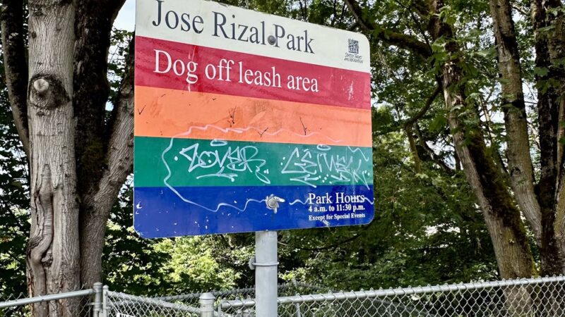 Dog Off Leash Area - Seattle, WA