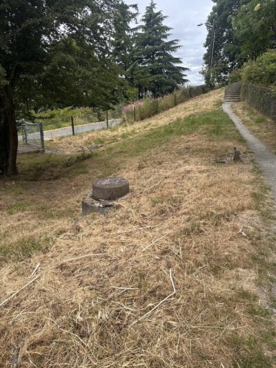 Dog Off Leash Area - Seattle, WA